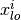x_{lo}^i